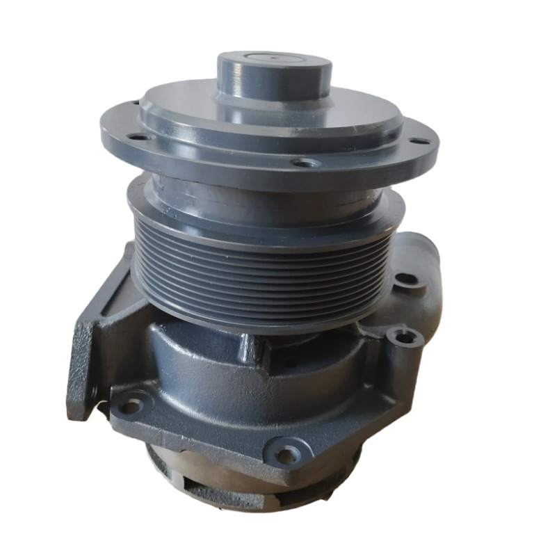 Hot Selling Diesel Engine Parts Water Pump 1000402861 for Weichai